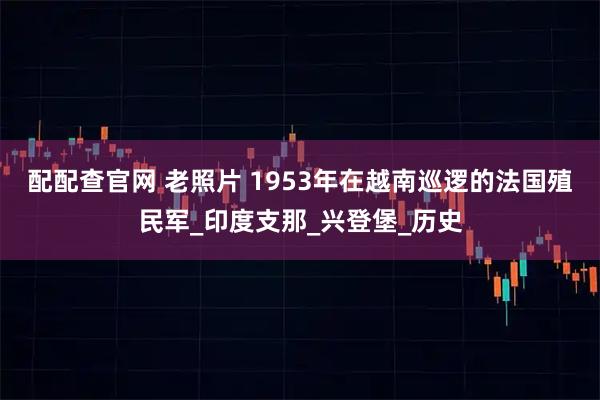 配配查官网 老照片 1953年在越南巡逻的法国殖民军_印度支那_兴登堡_历史