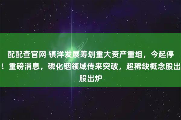 配配查官网 镇洋发展筹划重大资产重组，今起停牌！重磅消息，磷化铟领域传来突破，超稀缺概念股出炉