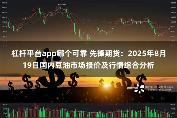 杠杆平台app哪个可靠 先锋期货：2025年8月19日国内豆油市场报价及行情综合分析